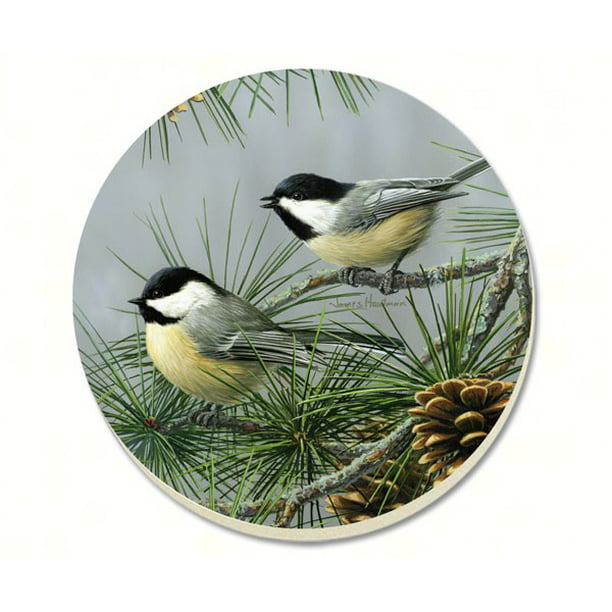 CounterArt Beautiful Songbirds 4 Pack Absorbent Stone Coaster Set 4 Pack Made in The USA 